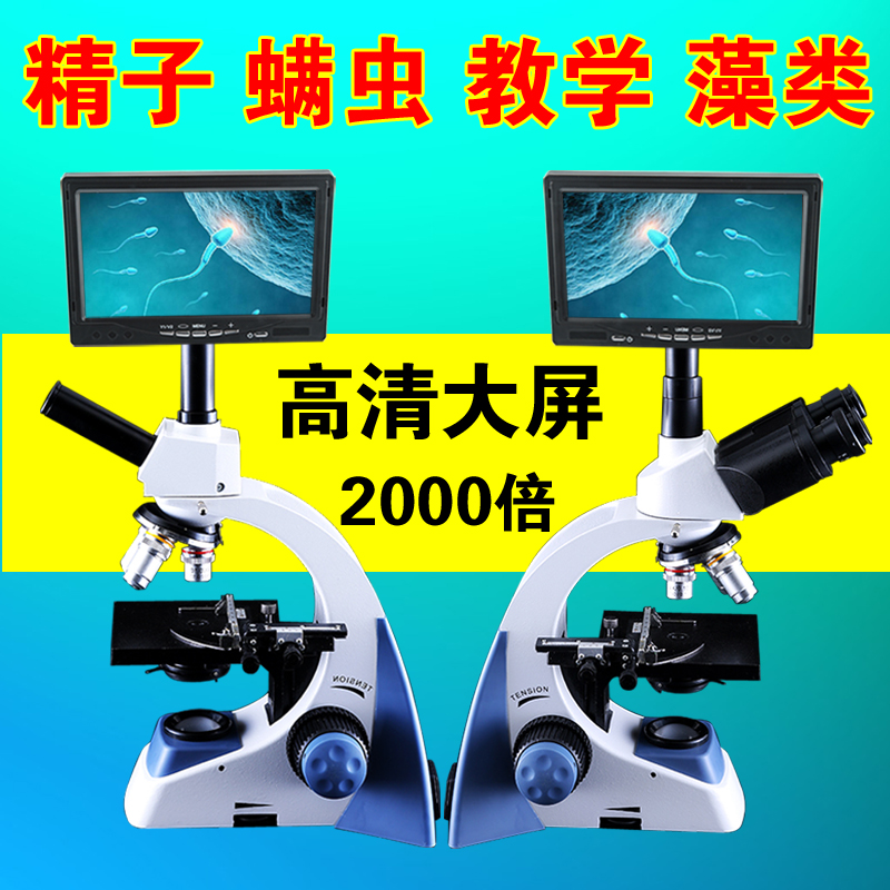 數(shù)碼顯微鏡圖片/數(shù)碼顯微鏡樣板圖 (4)