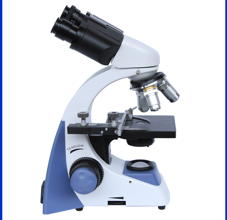 倍顯微鏡圖片/倍顯微鏡樣板圖 (2)