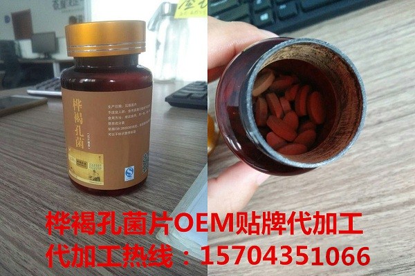 樺褐孔菌圖片/樺褐孔菌樣板圖 (4)