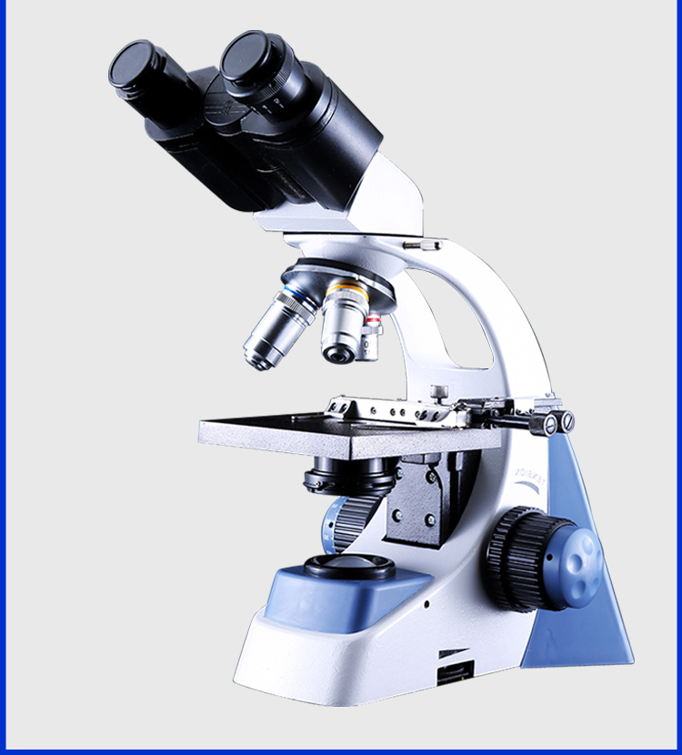 倍顯微鏡圖片/倍顯微鏡樣板圖 (1)