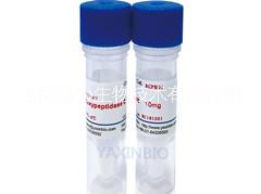 供應用于胰島素生產的*9024-24-5的重組羧肽酶B