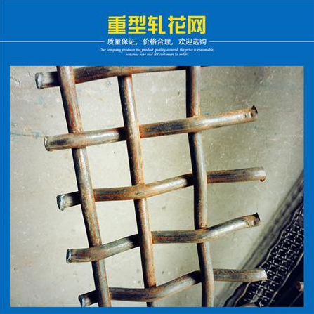 四川優(yōu)質(zhì)軋花網(wǎng)報(bào)價(jià)圖片