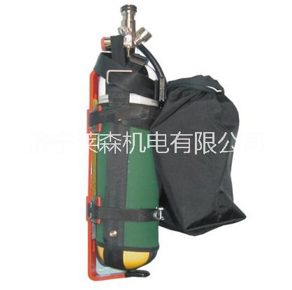 MSA梅思安圖片/MSA梅思安樣板圖 (1)