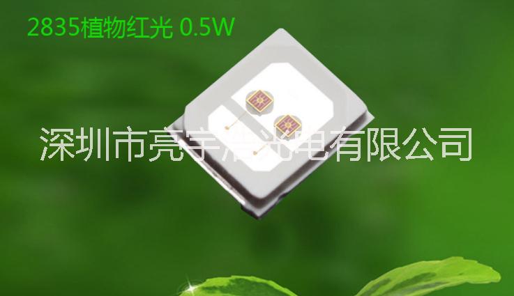 快閃慢閃圖片/快閃慢閃樣板圖 (4)