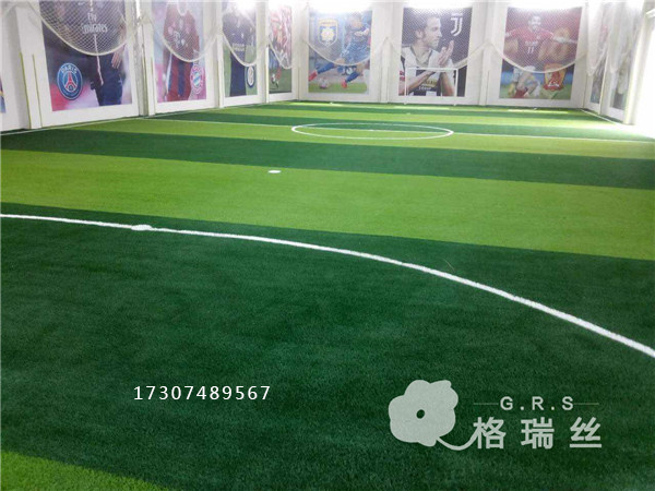 足球場人造草坪圖片/足球場人造草坪樣板圖 (4)