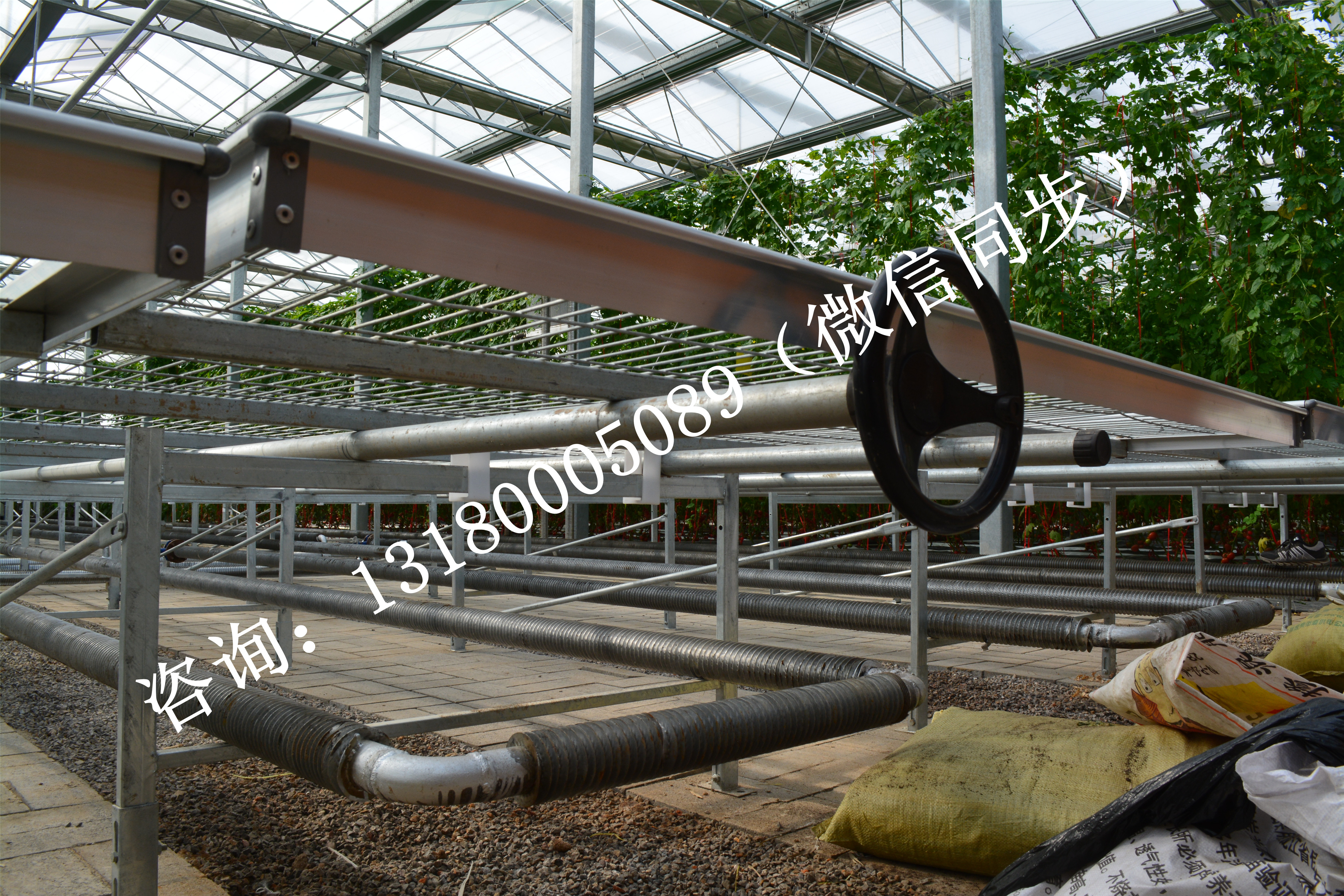 供應(yīng)苗床 育苗床