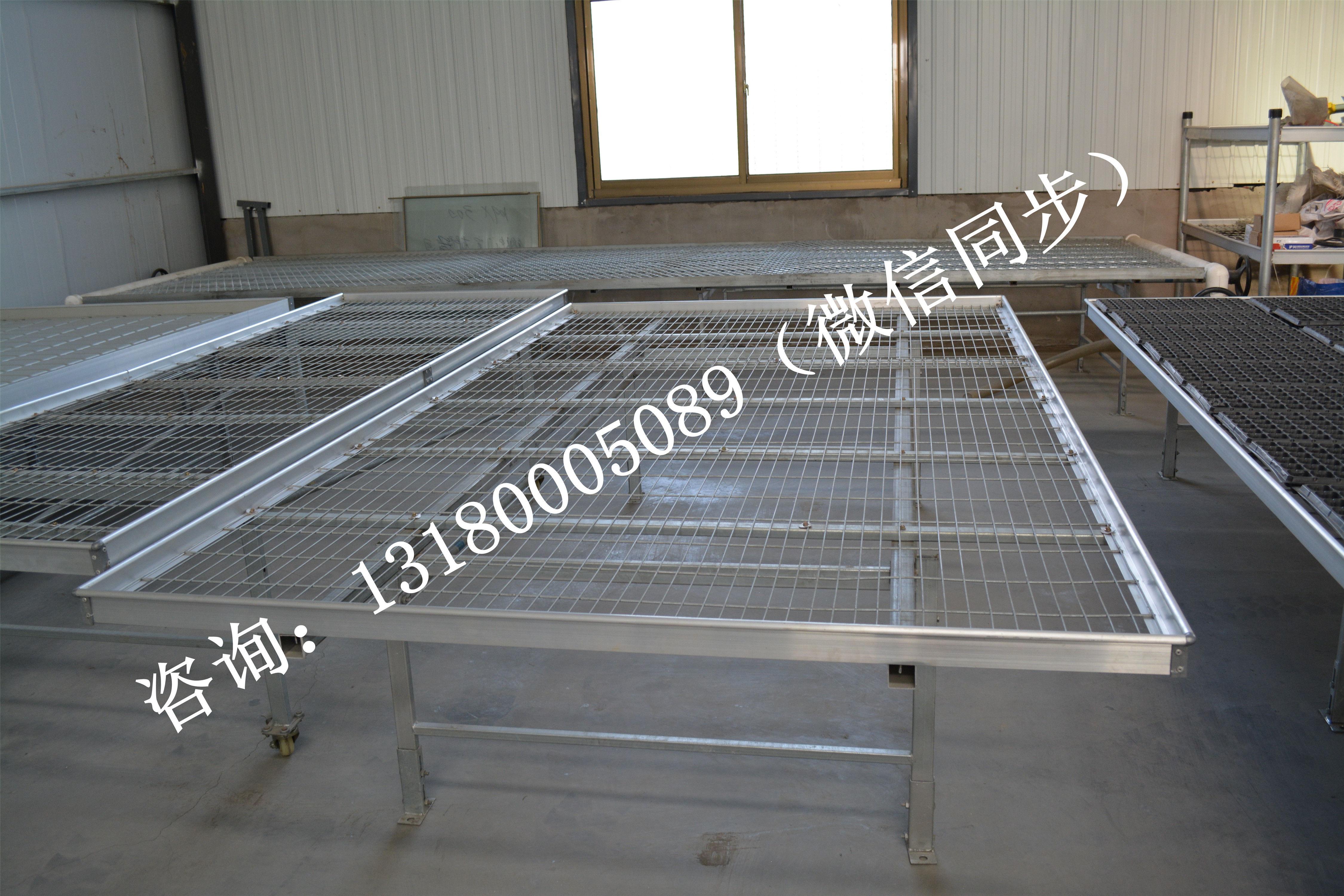 供移動(dòng)苗床 晨超專銷圖片