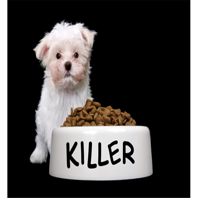 飼料專(zhuān)用添加劑硫酸鈣圖片/飼料專(zhuān)用添加劑硫酸鈣樣板圖 (3)