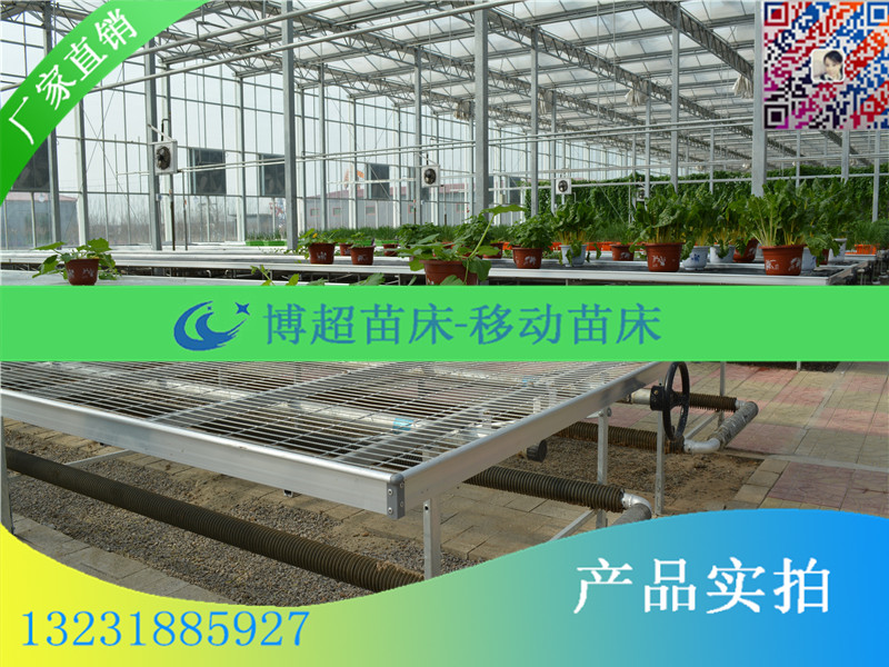 苗床圖片/苗床樣板圖 (2)