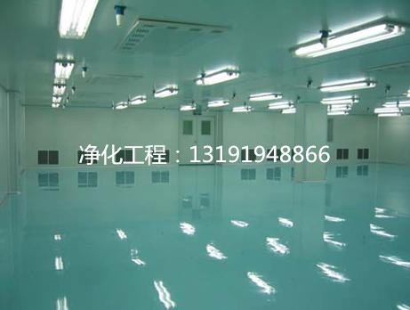 恒溫恒濕實(shí)驗室 恒溫恒濕實(shí)驗室GMP無塵車間廠家
