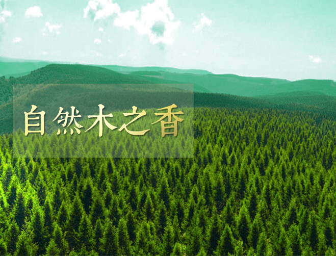 蜂箱圖片/蜂箱樣板圖 (4)