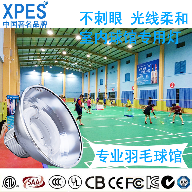 廣東廠家直銷室內(nèi)羽毛球場燈200W不刺眼 室內(nèi)羽毛球館燈