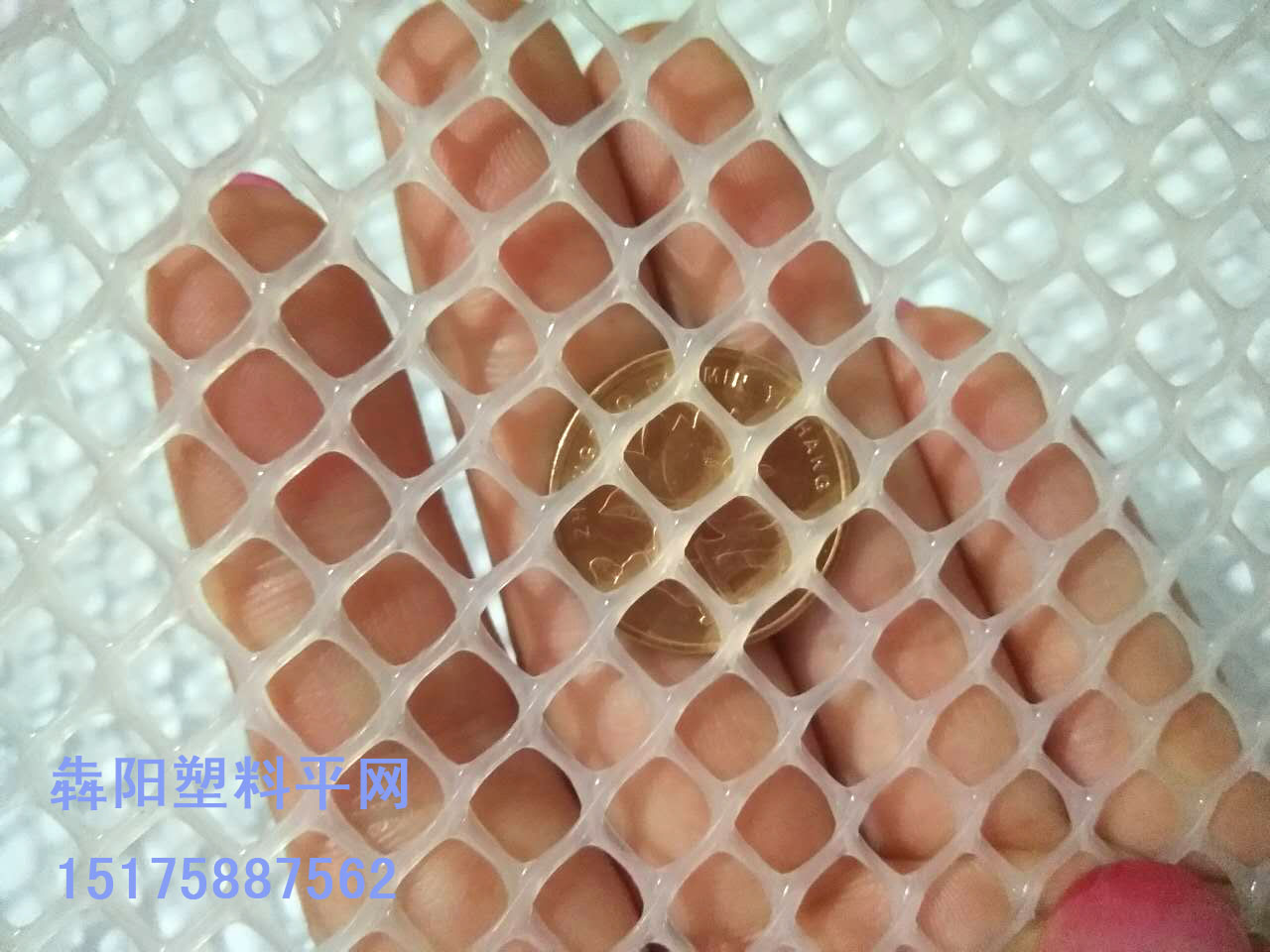 育雛塑料網(wǎng)@黑龍江育雛塑料網(wǎng)@育雛塑料網(wǎng)生產(chǎn)廠家
