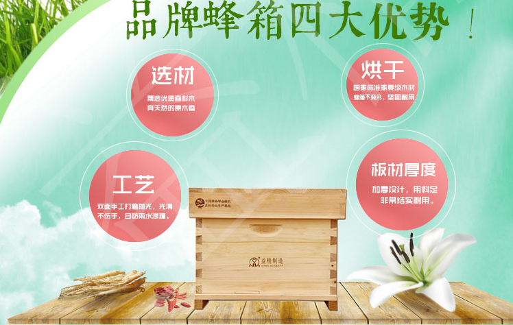 交尾箱 51x41圖片/交尾箱 51x41樣板圖 (3)