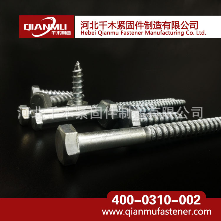 木螺絲圖片/木螺絲樣板圖 (3)