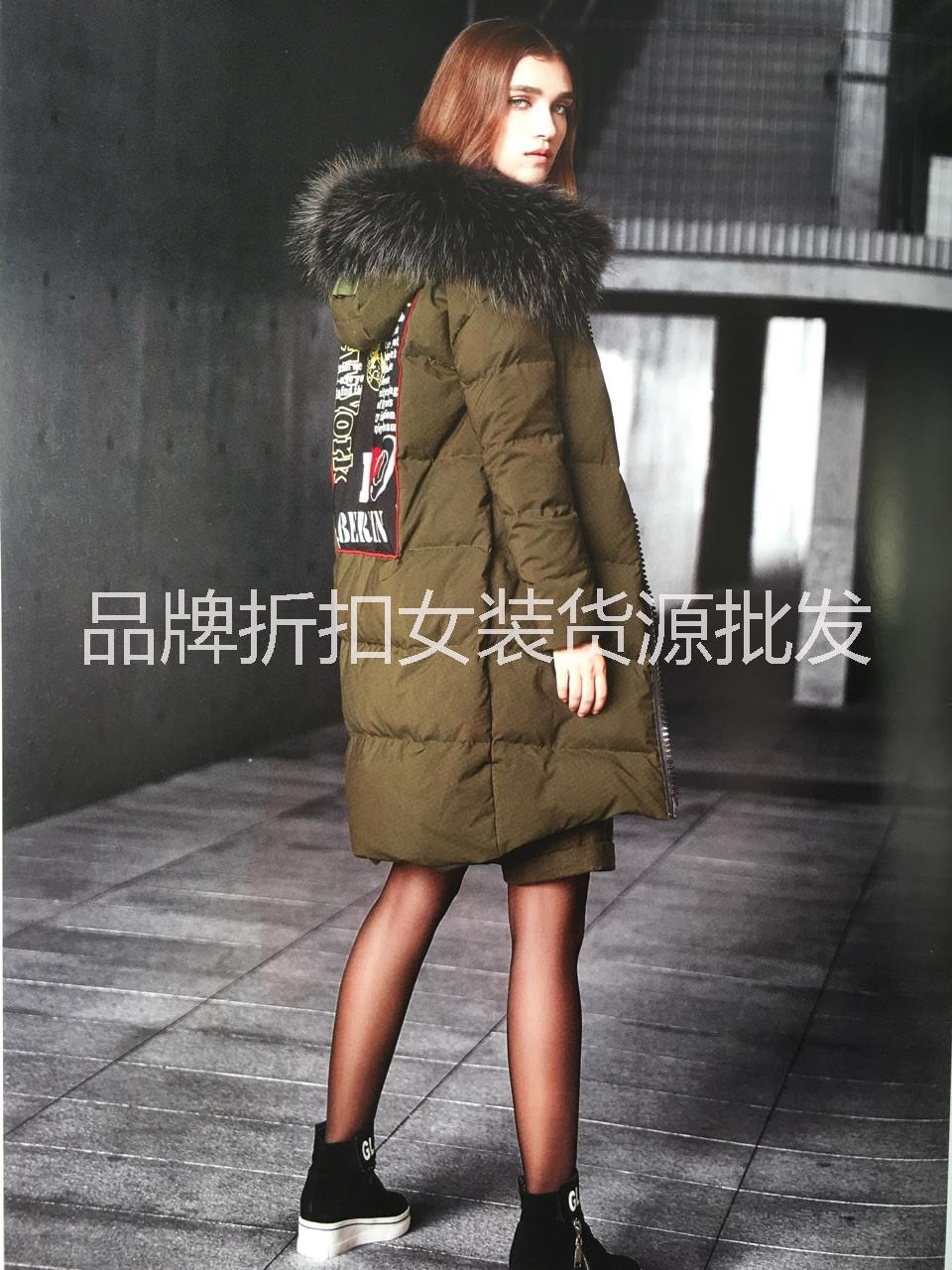 特爾迪亞圖片/特爾迪亞樣板圖 (2)