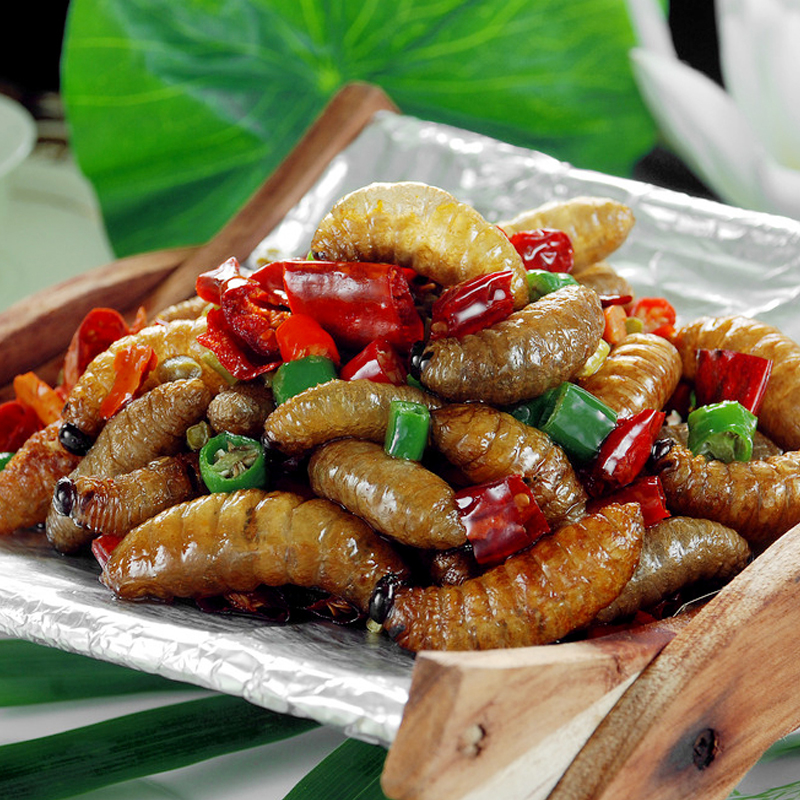 竹筍圖片/竹筍樣板圖 (3)