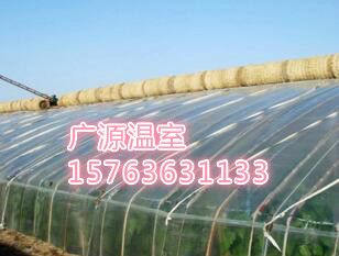 大棚溫室圖片/大棚溫室樣板圖 (2)