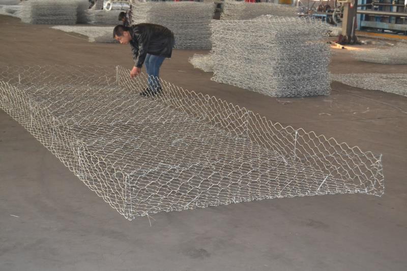 雷諾護墊圖片/雷諾護墊樣板圖 (2)