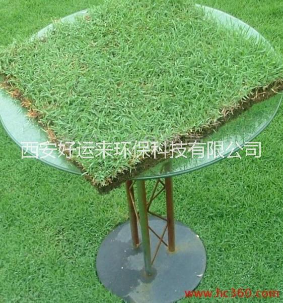 屋頂綠化圖片/屋頂綠化樣板圖 (4)