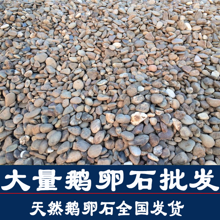 鵝卵石圖片