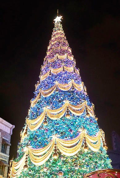 鄭州圣誕平安夜晚會(huì)布置服務(wù)/節(jié)目圖片/鄭州圣誕平安夜晚會(huì)布置服務(wù)/節(jié)目樣板圖 (1)