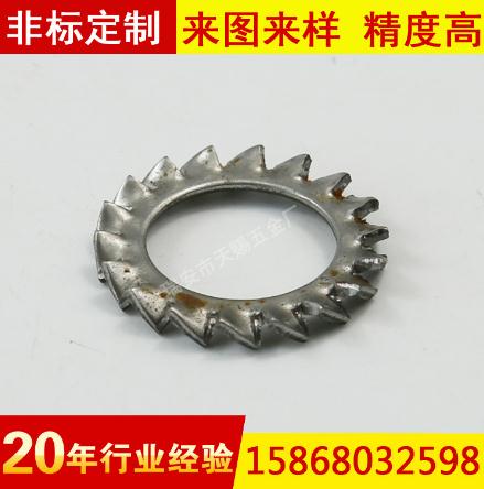 供應(yīng)不銹鋼外多齒墊圈 鎖緊墊片 外鋸齒墊圈 止動/防滑墊片