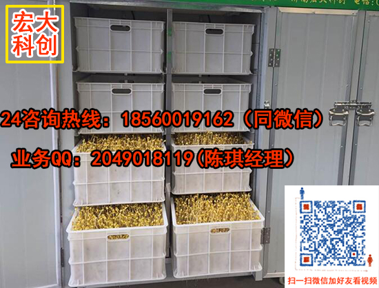 全自動(dòng)箱式豆芽機(jī)全自動(dòng)豆芽機(jī)生產(chǎn)圖片