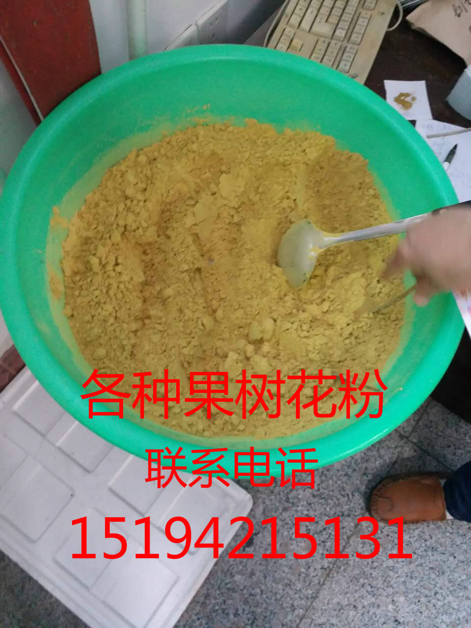 梨果圖片/梨果樣板圖 (4)