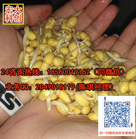 豆芽機(jī)全自動豆芽機(jī)圖片/豆芽機(jī)全自動豆芽機(jī)樣板圖 (3)