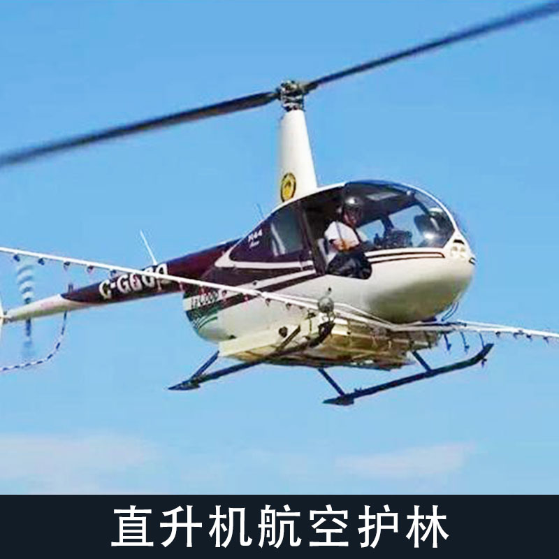 供應(yīng)直升機(jī)航空護(hù)林 空中消防直升飛機(jī)出租 森林火災(zāi)防護(hù) 價格實(shí)惠圖片