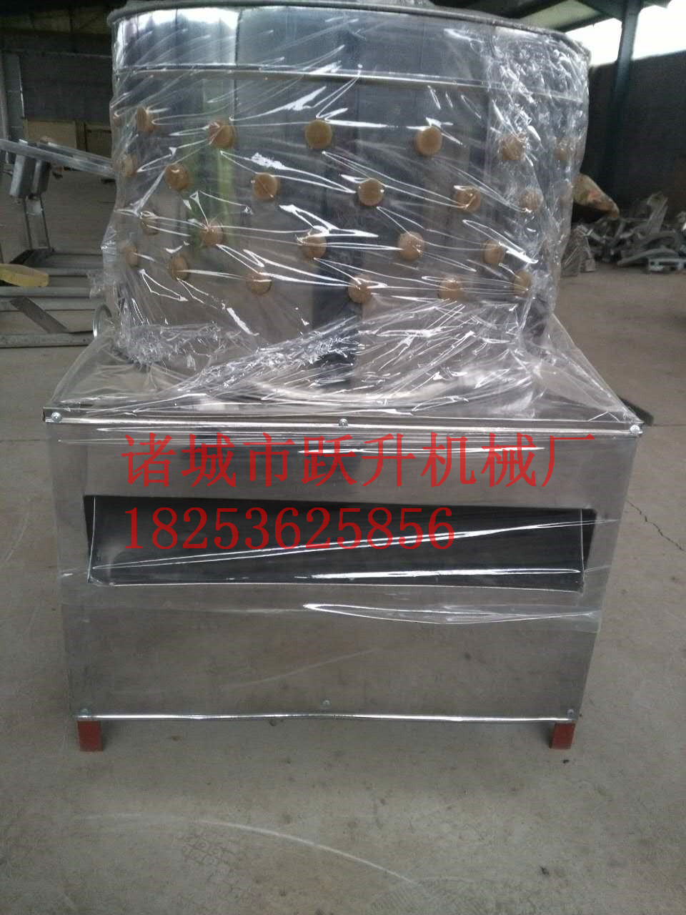 雞脫毛機(jī)哪家強(qiáng)圖片/雞脫毛機(jī)哪家強(qiáng)樣板圖 (2)