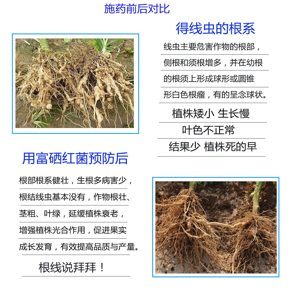 富硒圖片/富硒樣板圖 (4)