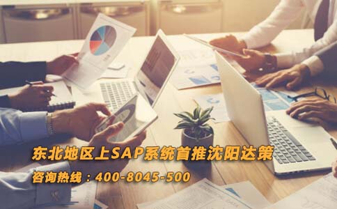 SAP遼寧代理商 SAP沈陽代理商 首推沈陽達策專業(yè)實施SAP ERP