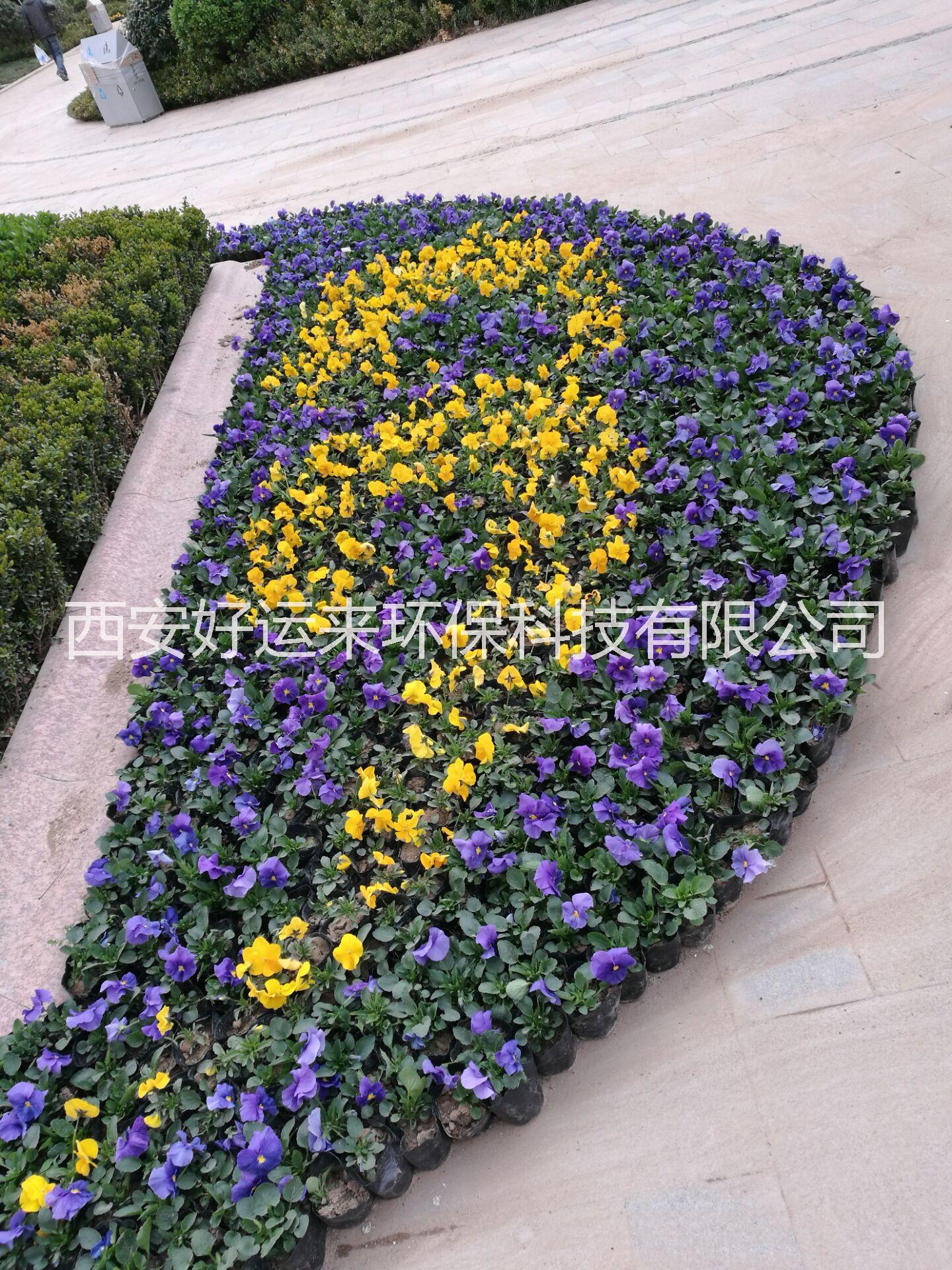 專業(yè)制作立體花墻制作圖片/專業(yè)制作立體花墻制作樣板圖 (3)