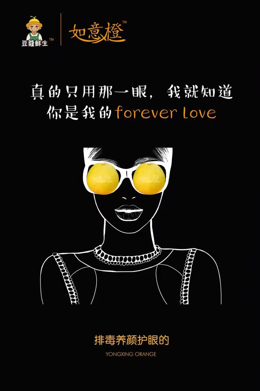 橙子圖片/橙子樣板圖 (2)