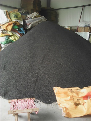 大蔥種子大蔥蔥苗山東章丘大量上市圖片