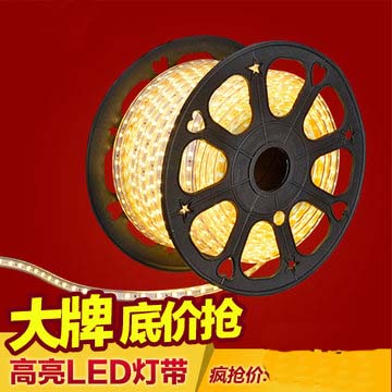 220V燈帶圖片/220V燈帶樣板圖 (1)