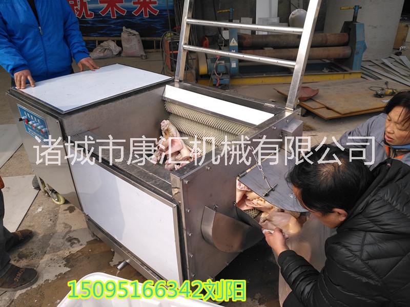 蓮藕清洗機圖片/蓮藕清洗機樣板圖 (4)