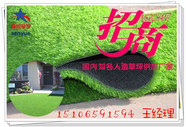 威海圍擋草坪低價-裝飾綠化草坪廠圖片/威海圍擋草坪低價-裝飾綠化草坪廠樣板圖 (3)