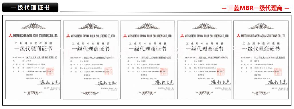 湖北污水處理專用60E0025圖片