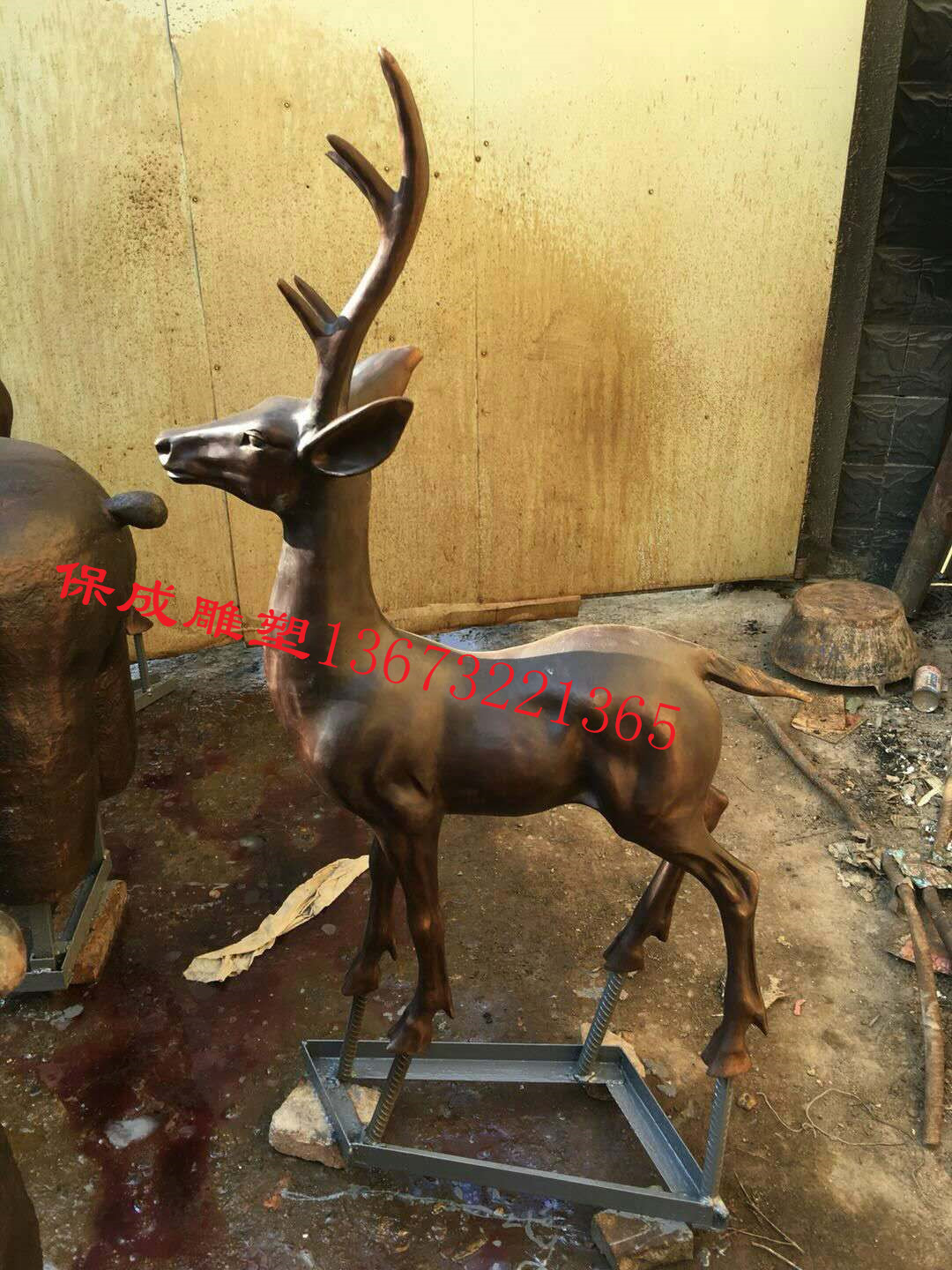 梅花鹿圖片/梅花鹿樣板圖 (4)