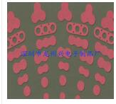 橡膠O型圈圖片/橡膠O型圈樣板圖 (4)