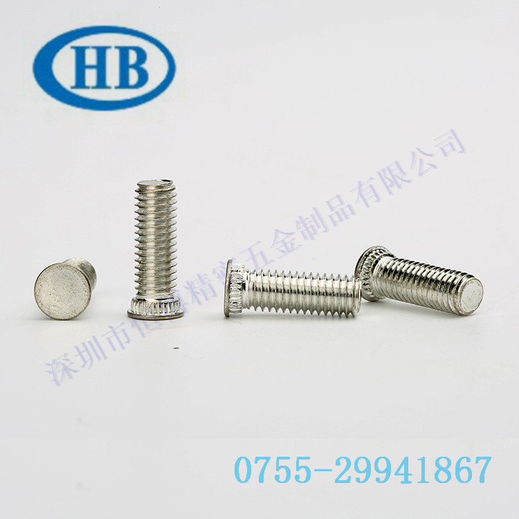 拉削槽式螺栓圖片/拉削槽式螺栓樣板圖 (2)