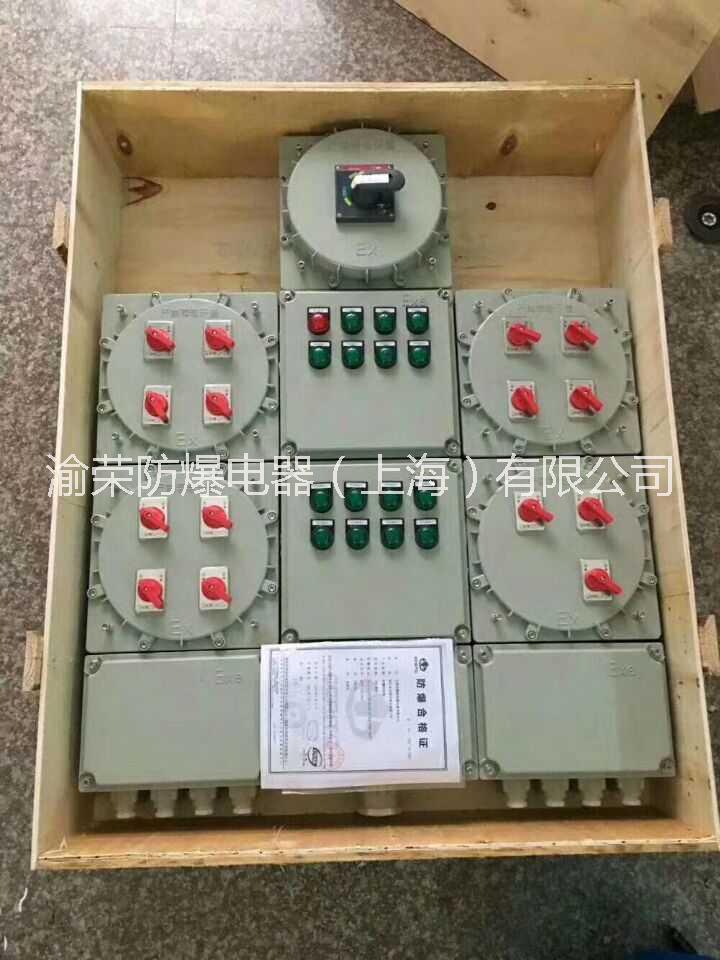 山東專業(yè)粉塵防爆控制箱渝榮防爆定做