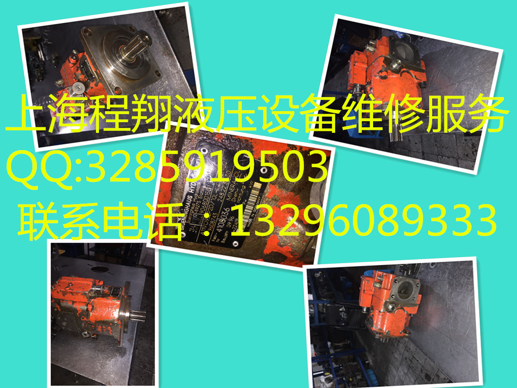 專業(yè)維修力士樂A11VO95EP圖片