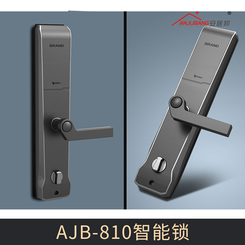 廠家密碼智能鎖電子鎖防盜門家用 AJB-810智能鎖圖片