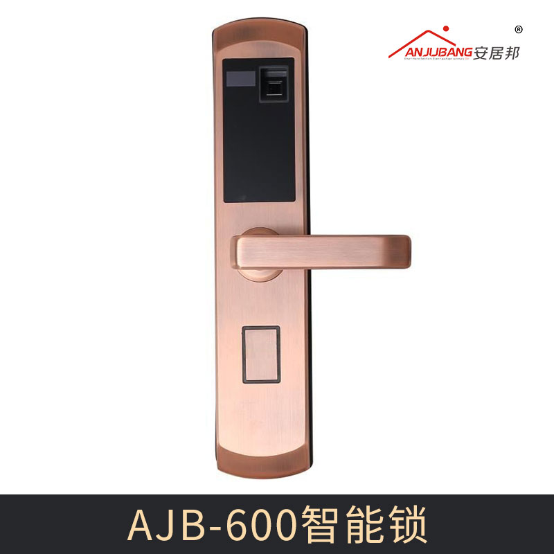 廠家直銷AJB-600智能鎖 指紋鎖密碼 智能鎖 IC卡防盜門電子家用門鎖圖片