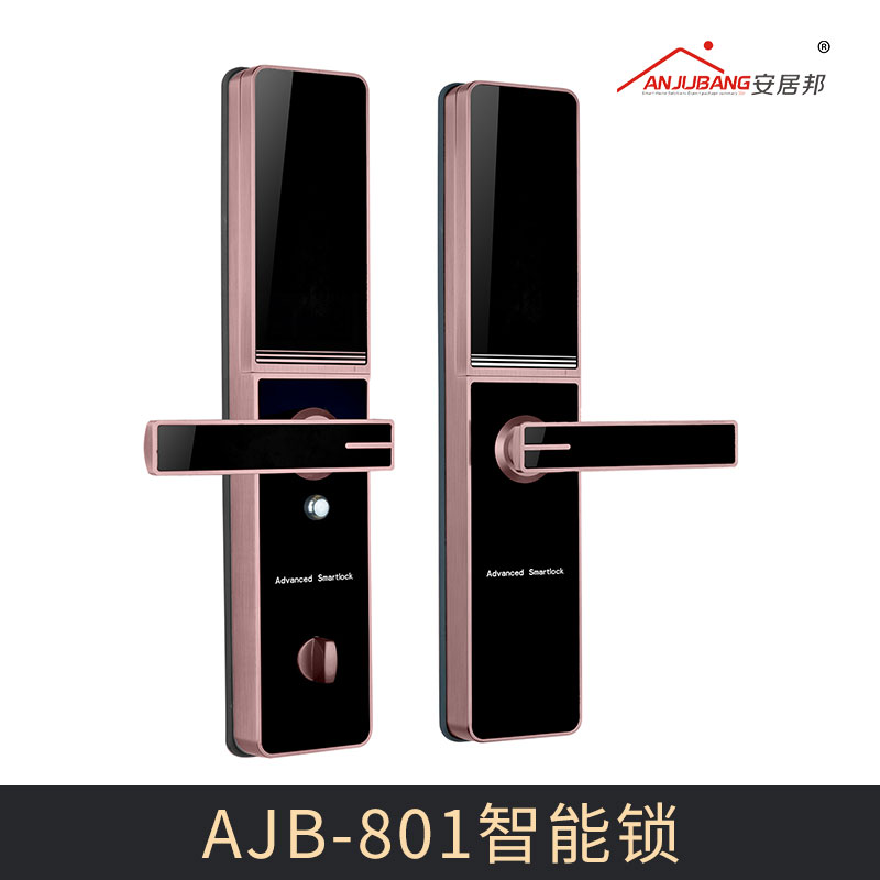 AJB-801智能锁图片