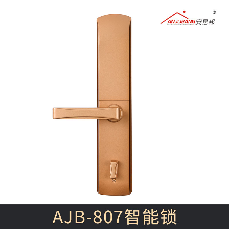 AJB-807智能鎖圖片/AJB-807智能鎖樣板圖 (4)